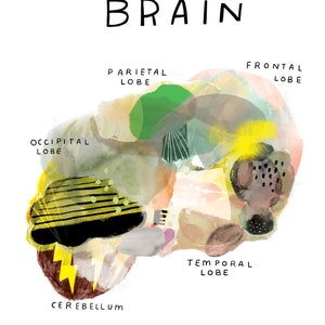Anatomical Brain, print image 2