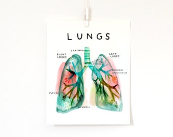 Anatomical Lungs, print