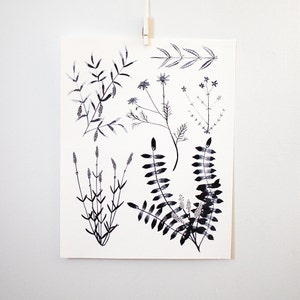 Black White Botanicals, 11x14 print image 1