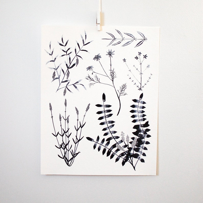 Black White Botanicals, 11x14 print image 1