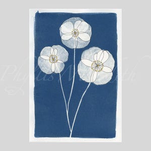 Drei Mohnblumen 1 Karte - Handillustrierte Cyanotypie mit Goldakzenten auf Premium Fine Art Papier