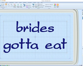 Custom Order A Brides Gotta Eat Wedding Dinner, Bridal Gift, Trending Adult Bib, Custom