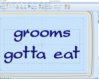 Custom Order A Grooms Gotta Eat Wedding Dinner, Bridal Gift, Trending Adult Bib, Custom