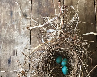 Nest, Eggs, Easter, Spring, Robin's Egg Blue, Harvest Table, Kitchen Art, Cottage, Texture, Grasses, Margaret Dukeman, Fine Art Photography