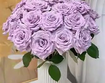 20pcs/pack, Beautiful Purple Rose Rosa Flower Seeds RS313