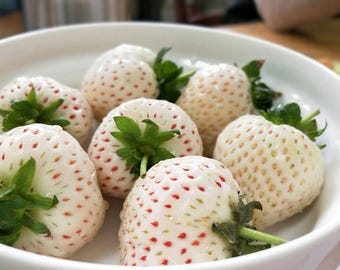 May include: A white bowl filled with several white strawberries. The strawberries have green leaves and small red seeds. The strawberries are a creamy white color and are in a white bowl.