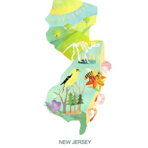 New Jersey Map wallprint watercolors USA Art Map Art east coast Americana State wall art unframed 11 x 14 12 x 18 standard frame size image 2