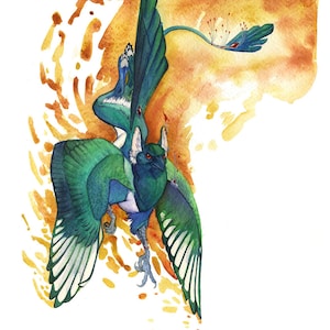 May include: Watercolour painting of a green and blue bird with a long tail, flying against a yellow and orange background.