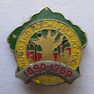Vintage Vietnam pin badge 1960