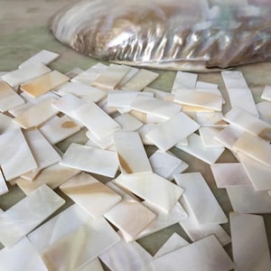 May include: A collection of small, rectangular mother-of-pearl tiles with a smooth, iridescent finish in shades of white, cream, and pale gold, scattered alongside a large, curved, polished seashell with a pearlescent interior surface.