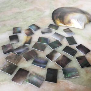 May include: A collection of small, rectangular mother-of-pearl tiles featuring iridescent dark gray, black, and green tones with a smooth, polished finish, accompanied by a single, larger, curved, natural iridescent seashell fragment.