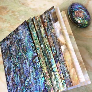 Könnte beinhalten: Eine Sammlung rechteckiger Abalone-Muschelfurnierblätter, die fächerförmig angeordnet sind und einen Farbverlauf von tiefem, irisierendem Blau und Grün bis zu Cremeweiß zeigen, begleitet von einer einzelnen polierten, ovalen Abalone-Muschel.