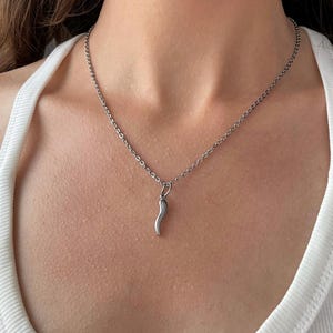 Collier argenté porte-bonheur – Charm Piment  – Bijou Talisman tendance en acier inoxydable