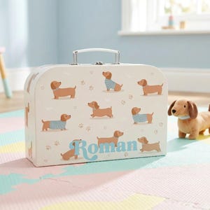 May include: A rectangular off-white storage suitcase with a metal handle, featuring a repeating pattern of brown dachshunds, some wearing blue sweaters, and small paw prints. The name Roman is printed in large blue script on the front.