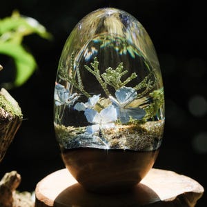 Resin Paperweight: Real Hydrangea & Moss Orb - Wood Base