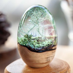 Lichen & Moss Epoxy Resin Orb: Handmade Wood Base Decor