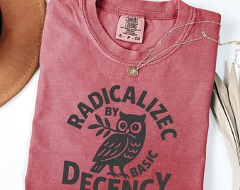 Radicalized By Basic Decency Comfort Colors T-Shirt: Political Tee