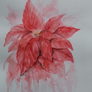 Dipinto ad acquerello stella di Natale, fiore natalizio cremisi, arte originale su carta, idea regalo di Natale – Home decor invernale