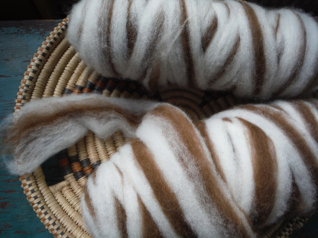 Maine Raised Merino Wool Roving, Light Striped Bump, Approx 4 Oz - Etsy