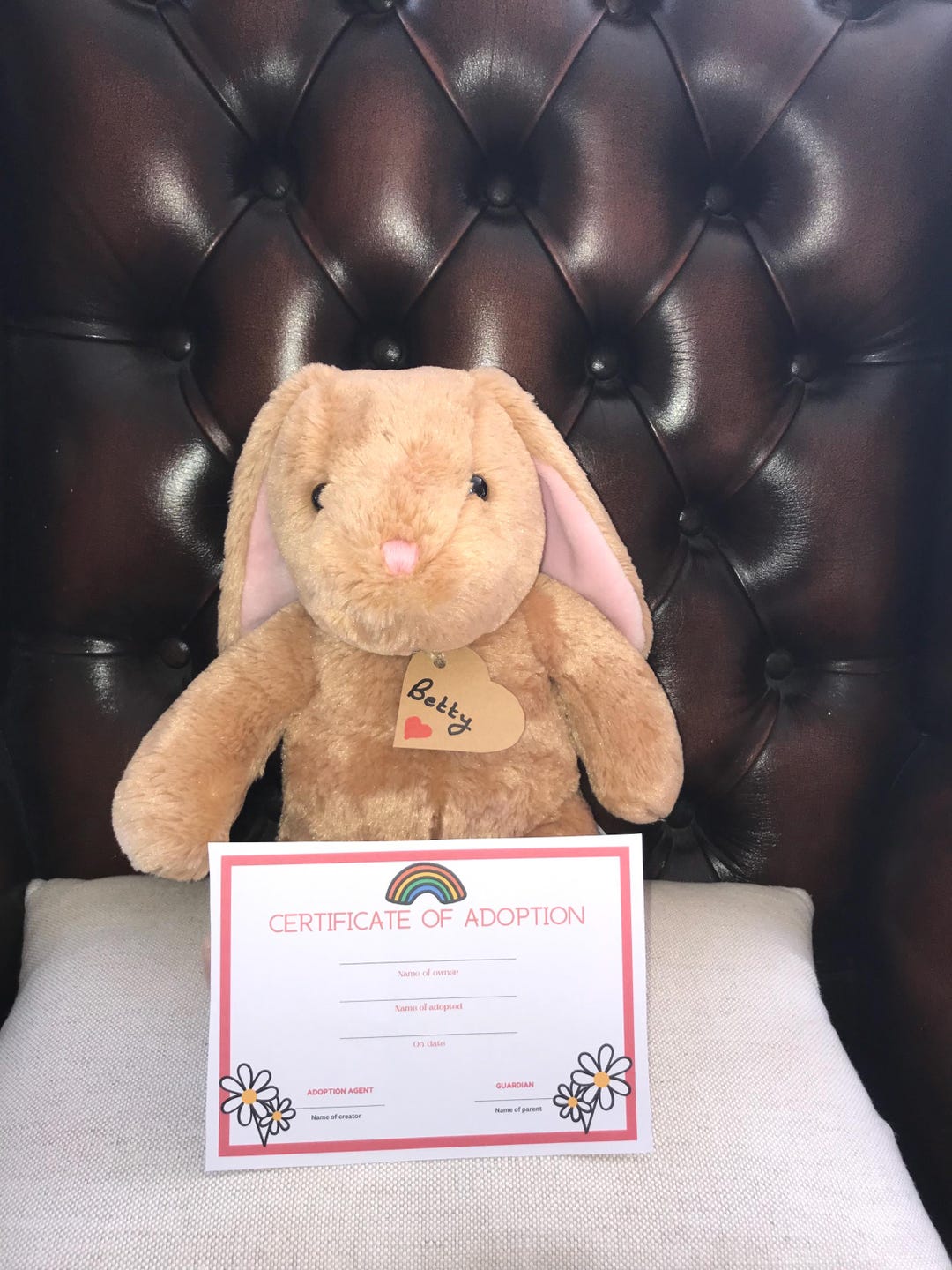 Adopt Betty - Adorable so Soft Cuddly Bunny Rabbit Available for ...