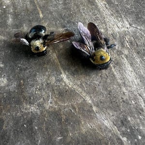 Real Preserved Bumblebees