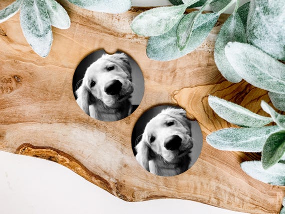 Custom Dog Photo Car Coasters Gift Idea Stocking Stuffer Personalized Pet Gift Custom Picture Coaster Set Dog Lover Gift for Car or Truck