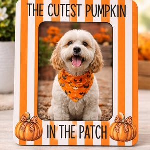 Cadre d'Halloween pour chien La citrouille la plus mignonne du monde Cadre d'Halloween pour animal de compagnie Cadre photo d'Halloween pour chien Cadre photo pour chien avec citrouille