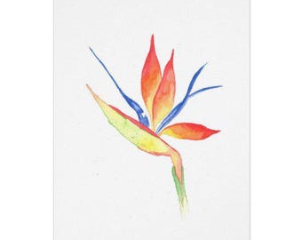 Bird of Paradise Watercolor Greeting Cards - Perfect for Mother's Day, Birthday, Thank You, Sympathy, Anniversary, and More