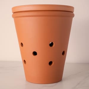 Op de afbeelding: Een terracotta-kleurige, cilindrische plantenbak met een deksel. De plantenbak heeft verschillende gelijkmatig verdeelde gaten aan de zijkanten. De plantenbak is ontworpen voor tuinieren en heeft een klassieke, rustieke uitstraling.