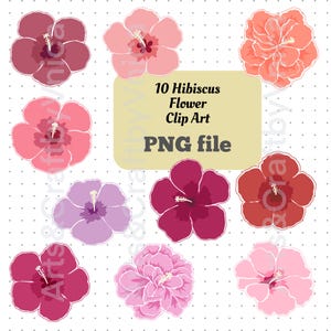 10 Hibiscus Flower Clip Arts in PNG file, Hand drawn Hibiscus Flower graphics For Crafts, Stickers, Journals, Print On Demands