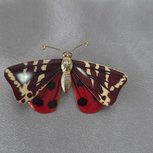 broche de borboleta vintage
