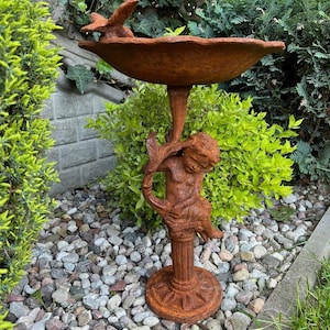 Peut inclure: Un abreuvoir pour oiseaux de couleur rouille, avec une statue de chérubin soutenant la vasque. La vasque a un bord festonné et un petit oiseau perché sur le bord. Le bain d'oiseaux est en métal et repose sur une base ronde.
