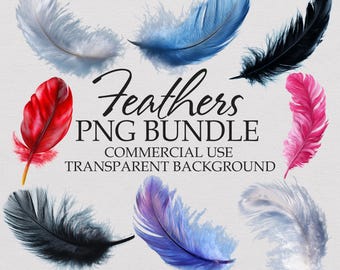 Imágenes prediseñadas PNG de plumas estilo boho: Gráficos de aves tribales (Descarga digital)