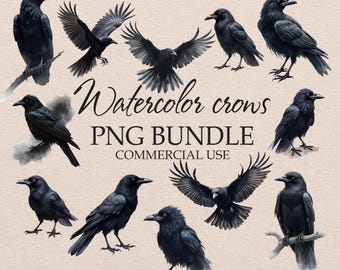 Imágenes prediseñadas de cuervos en acuarela, ilustraciones PNG de cuervos negros (descarga digital)