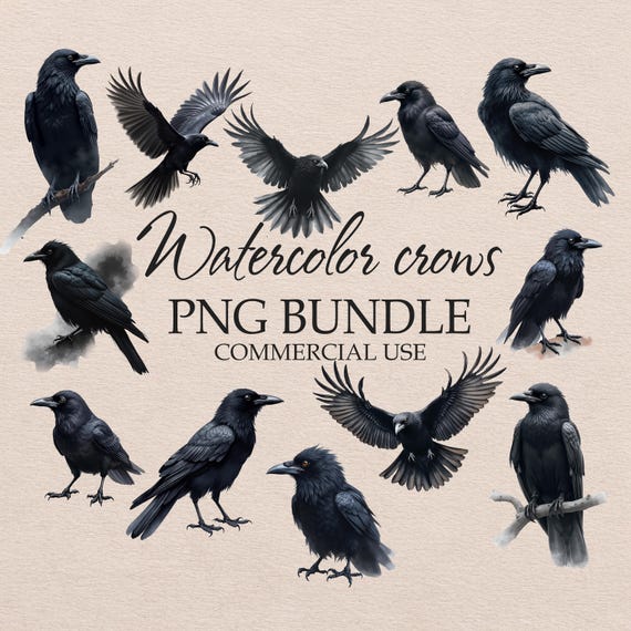Watercolor Raven Clipart, Black Crow PNG Illustrations (Digital Download)