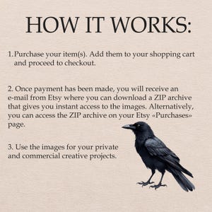 Akvarell Raven Clipart, Black Crow PNG-illustrationer (digital nedladdning) bild 5
