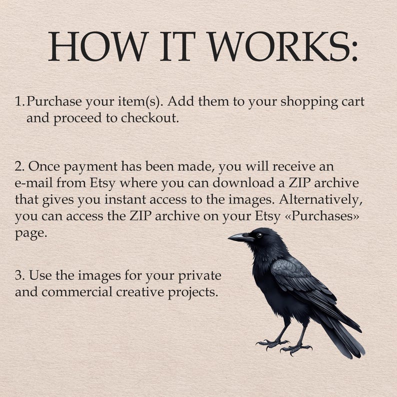 Akvarell Raven Clipart, Black Crow PNG-illustrationer (digital nedladdning) bild 5