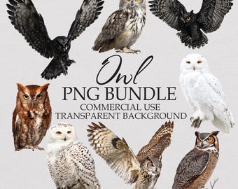 Paquete de imágenes prediseñadas de búhos: 38 imágenes PNG de aves para uso comercial (descarga digital)