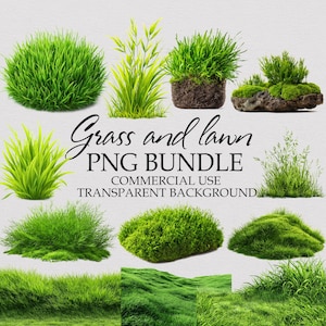 Könnte beinhalten: Eine Sammlung von 10 hochauflösenden PNG-Bildern mit verschiedenen Arten von grünem Gras und Rasen. Die Bilder haben transparente Hintergründe und sind ideal für kommerzielle Zwecke.