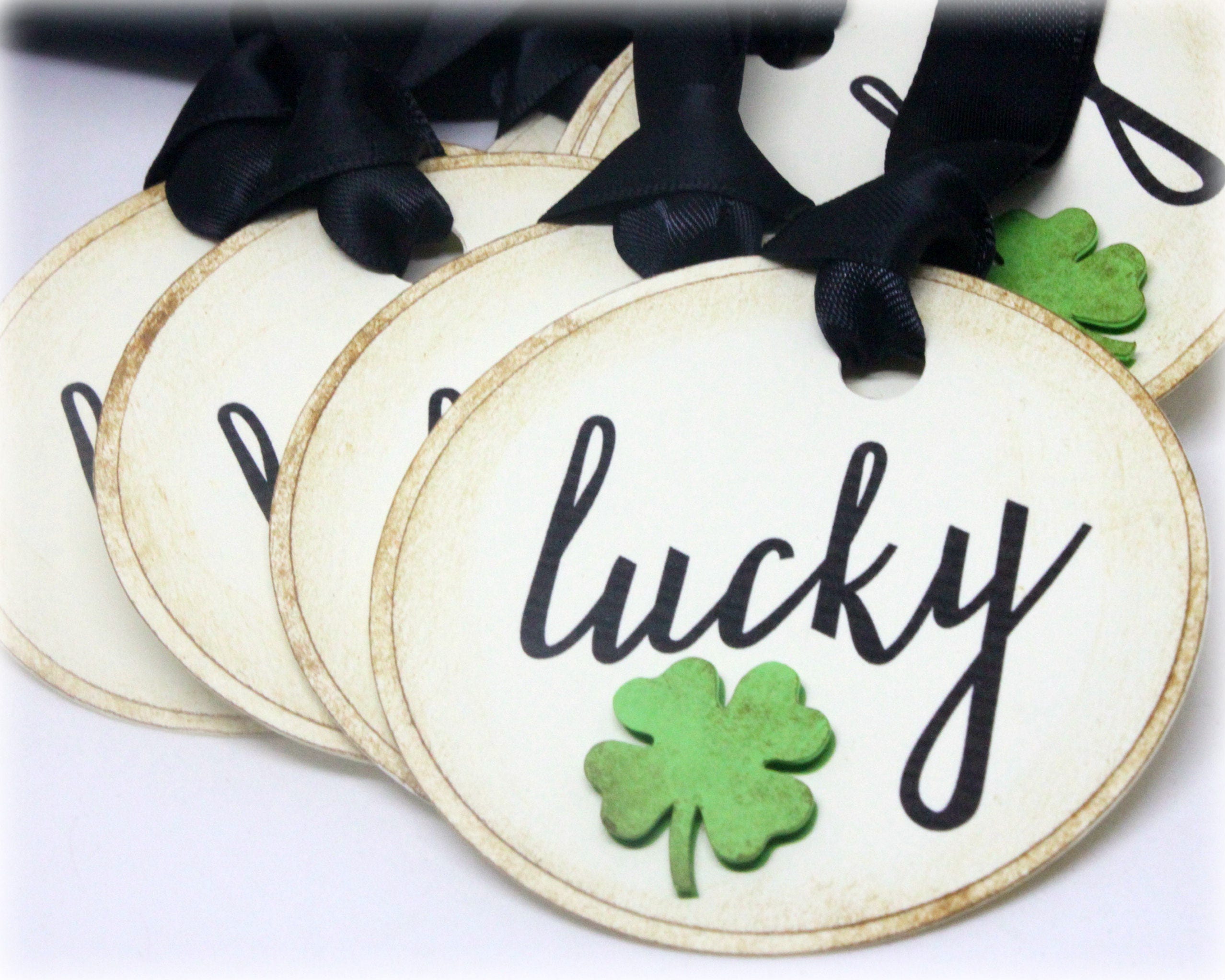 Irish Coin Leprechaun Good luck with Shamrock Accents Irish Gift
