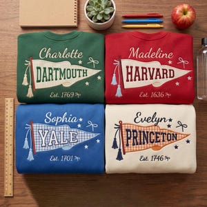 Sudadera universitaria bordada personalizada con letras, camiseta universitaria personalizada con retazos, camiseta con aplique de mascota universitaria, atuendo para el día del partido, regalo universitario