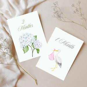 Cartes d'étape mensuelles pour bébé fille