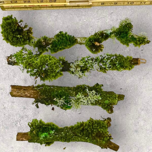 Pacific Northwest Thick Lichen and Moss Sticks-Branches - Crafting Materials- Art Supply