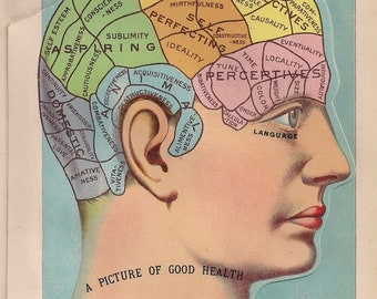 Digital Download- 1900s Brain Map Plus 3 More Layered Views Of Head And Neck - by EJ Stanley