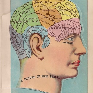 Descarga digital: Mapa cerebral de la década de 1900 más tres vistas en capas más de la cabeza y el cuello, por EJ Stanley