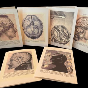 ブレイン・ノート - 解剖学彫刻ブックプレート - 1915年健康長寿ホームヘルス協会発行 - 空白カード - 9マイルオリジナル