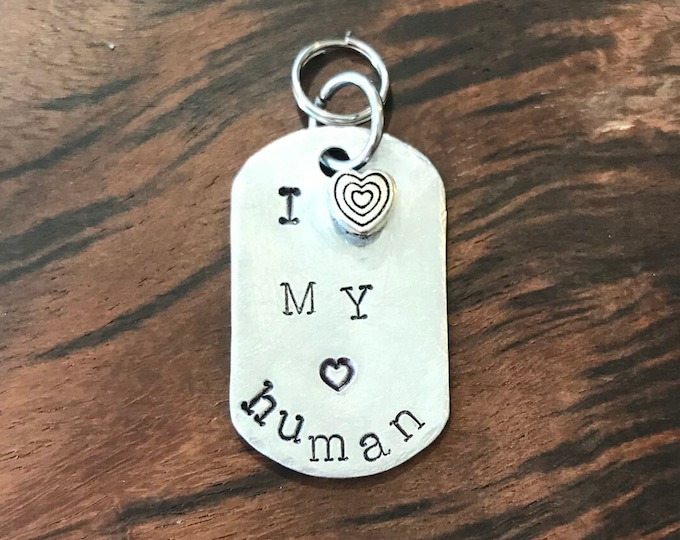 King Charles Cavalier Metal Stamped Medium Dog Spoiled Cav Small Dog Tag Steel Tag Light Weight tag Pet Tag Spoiled