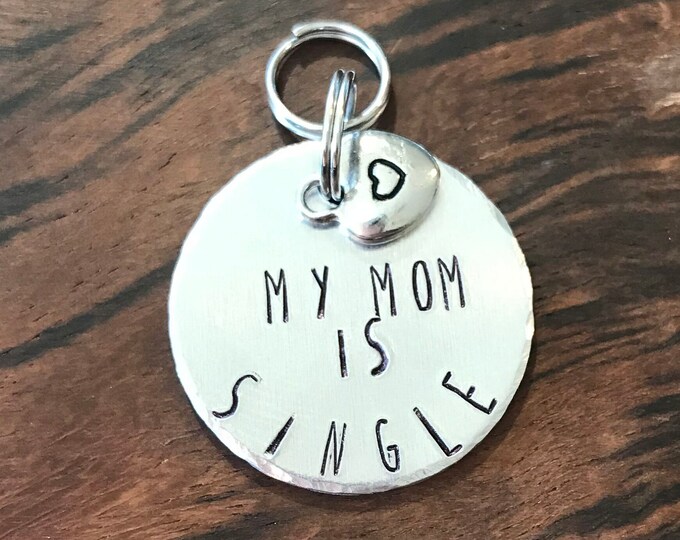 King Charles Cavalier Metal Stamped Medium Dog Spoiled Cav Small Dog Tag Steel Tag Light Weight tag Pet Tag Spoiled