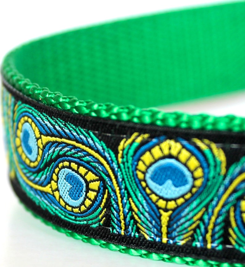 Peacock Feathers Dog Collar 1 Inch Width Big Dog Collar Etsy