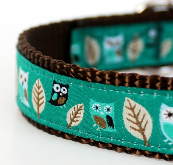 owl dog collar